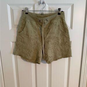 XCVI Distressed Shorts for Women